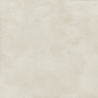 Locus — coloris Alloy