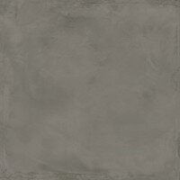 Locus — coloris Gris
